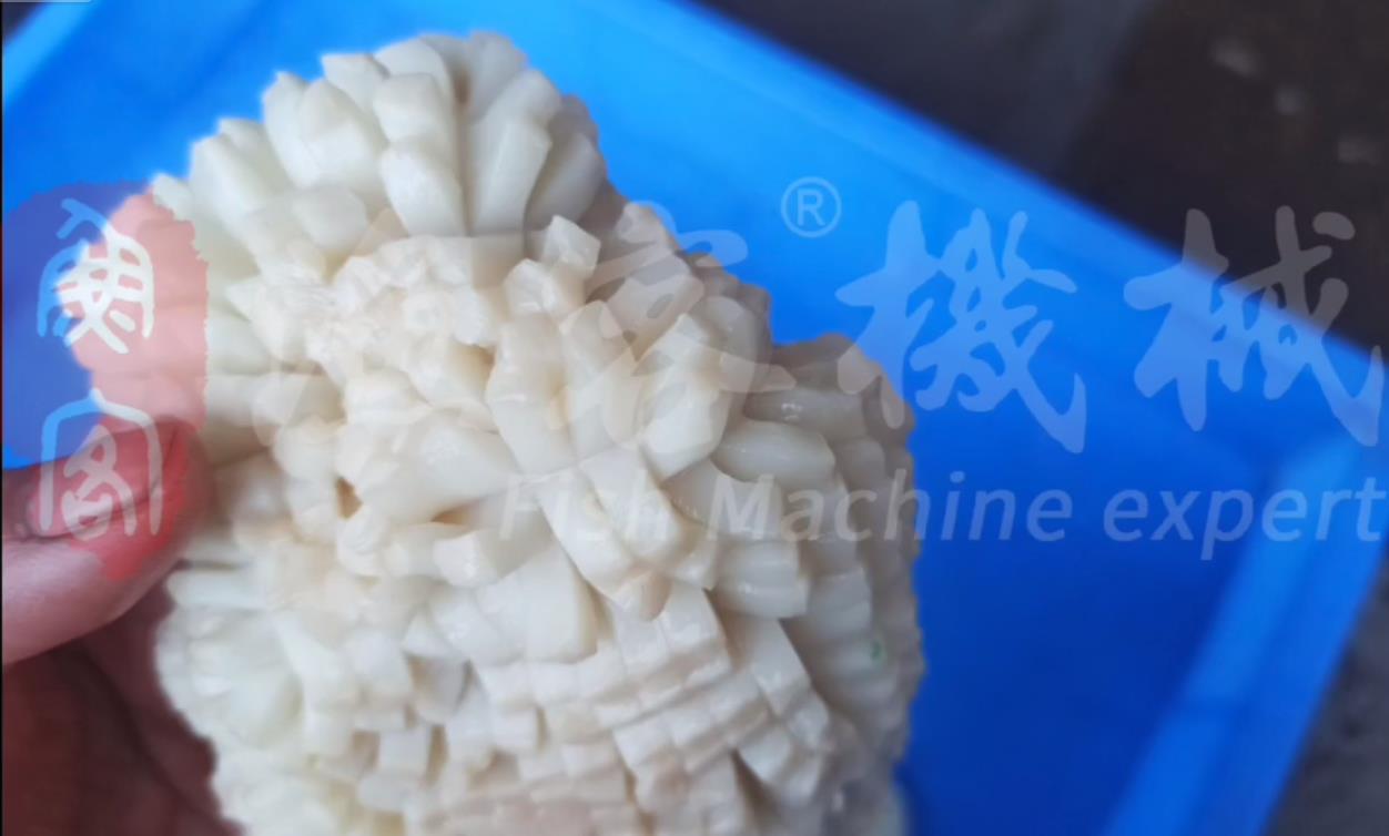 Squid flower cutter, rocket squid flower cutter