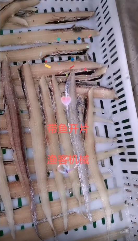 Hairtail opening automation equipment machine makes you more relaxed