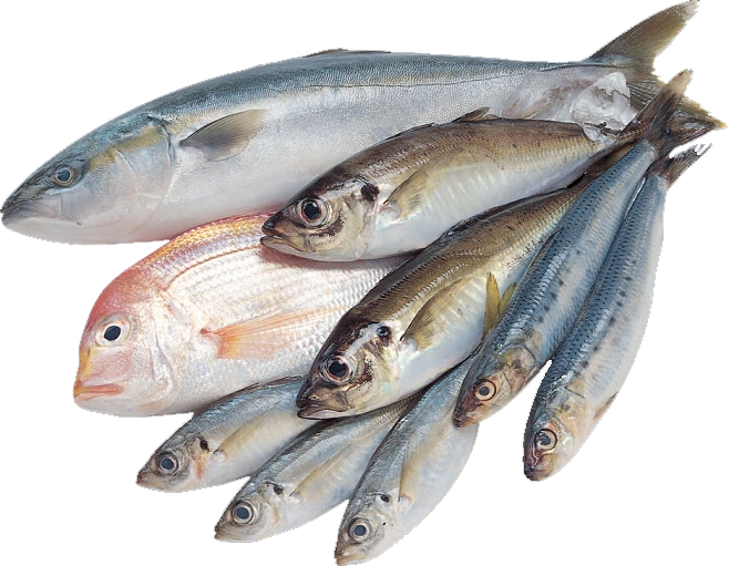 Fish processing machinery, aquatic processing equipment, so that aquatic processing becomes simple