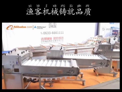# Professional manufacturers # food machinery equipment # all kinds of fish processing # automation 
