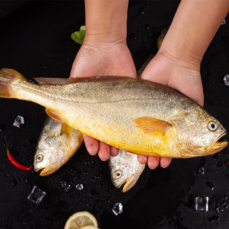 Large yellow croaker scaling # fish processing line # food machinery equipment # scaling machine