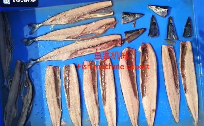 Fish automatic head to tail to bone three pieces of open machine