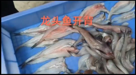 Dragon head fish open back