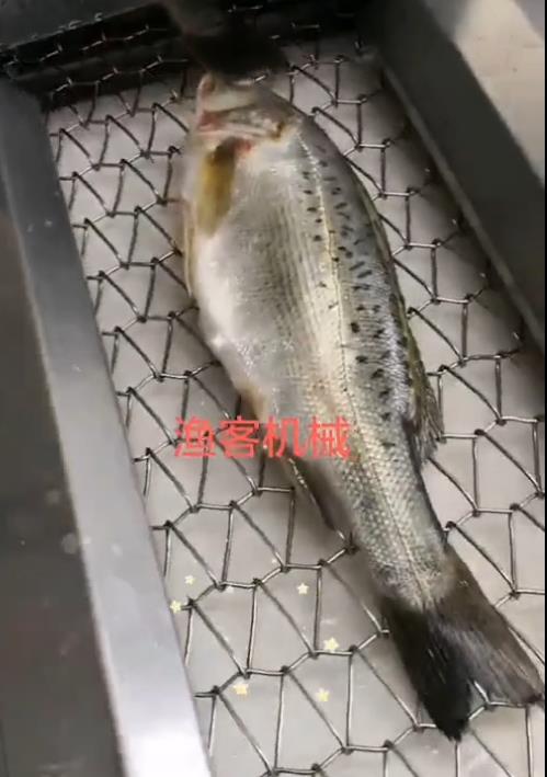 Perch descaling high pressure water descaling clean effect is good
