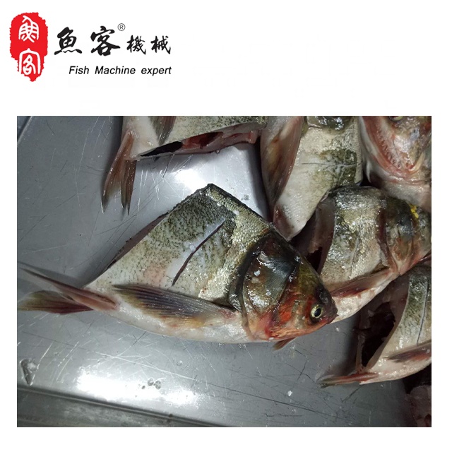 High pressure water scaler miter cutting machine for silver carp miter cutting machine for silver ca