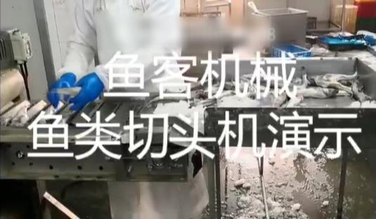 Fish head cutter demonstration video