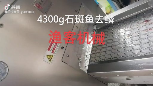 #4300g grouper descaling # high pressure water descaling machine # fisherman machine, trustworthy!