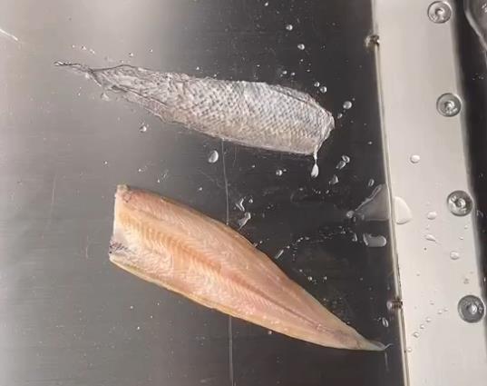 Fish peeler is clean and does not hurt fish. Fish machine is reliable!
