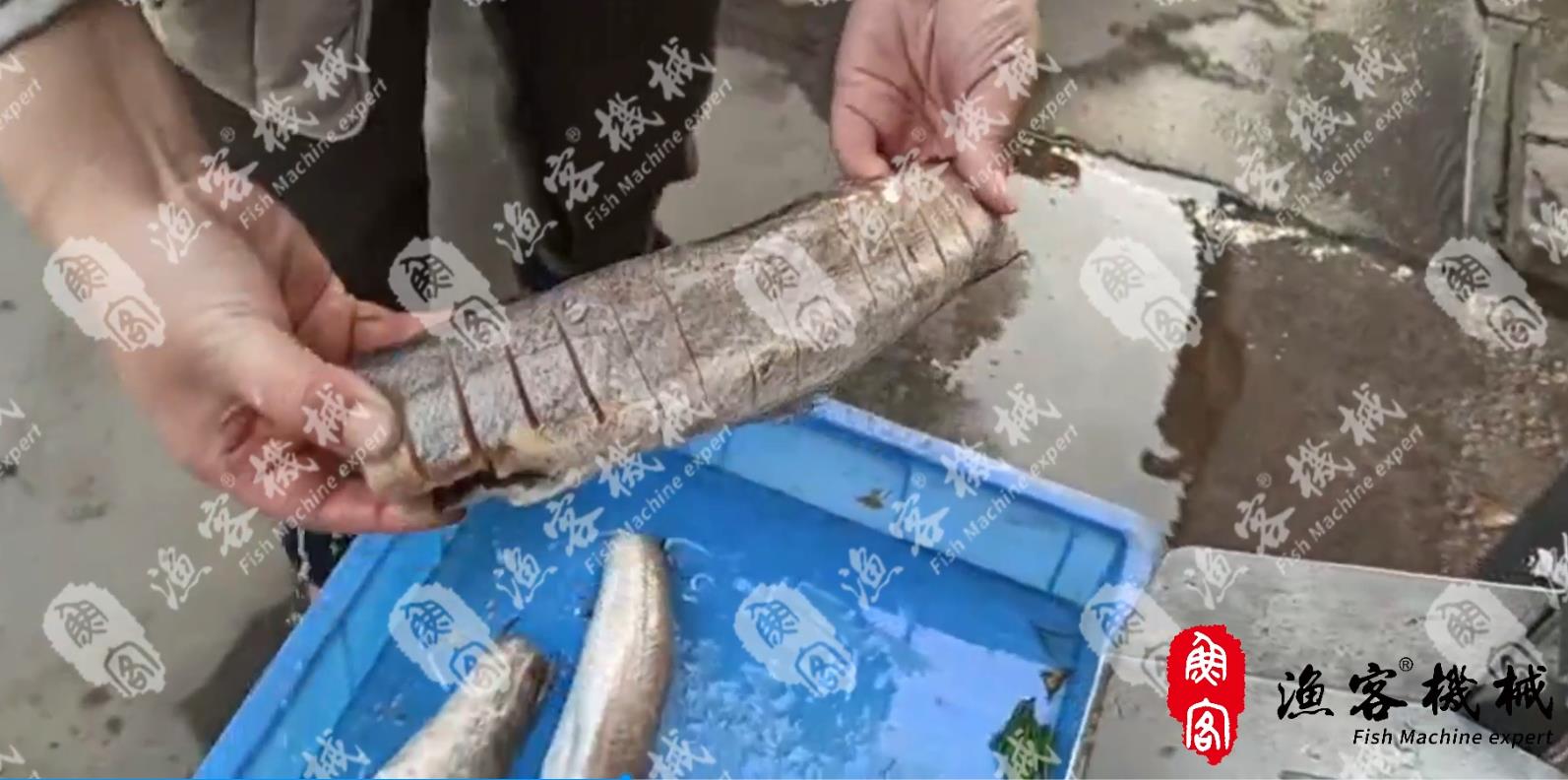 Fish body cutting knife Fish body changing knife incision uniform skin integrity knife edge consiste
