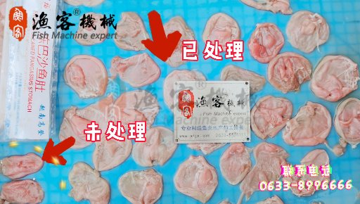 巴沙魚魚肚處理視頻，小型二枚開片機(jī)試機(jī)視頻