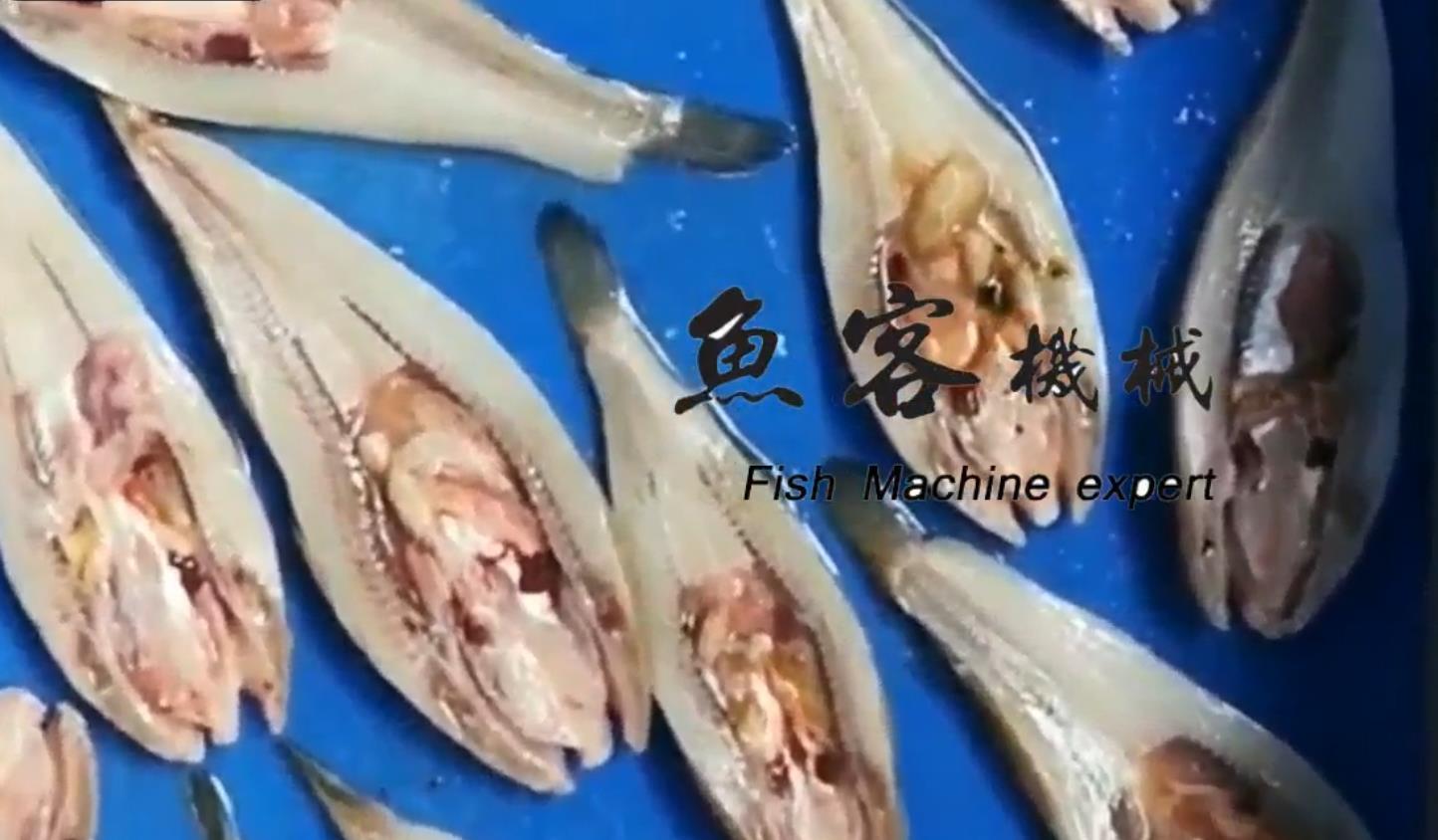 Small fish open. - Small fish open back